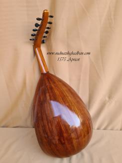 1575 Apricot